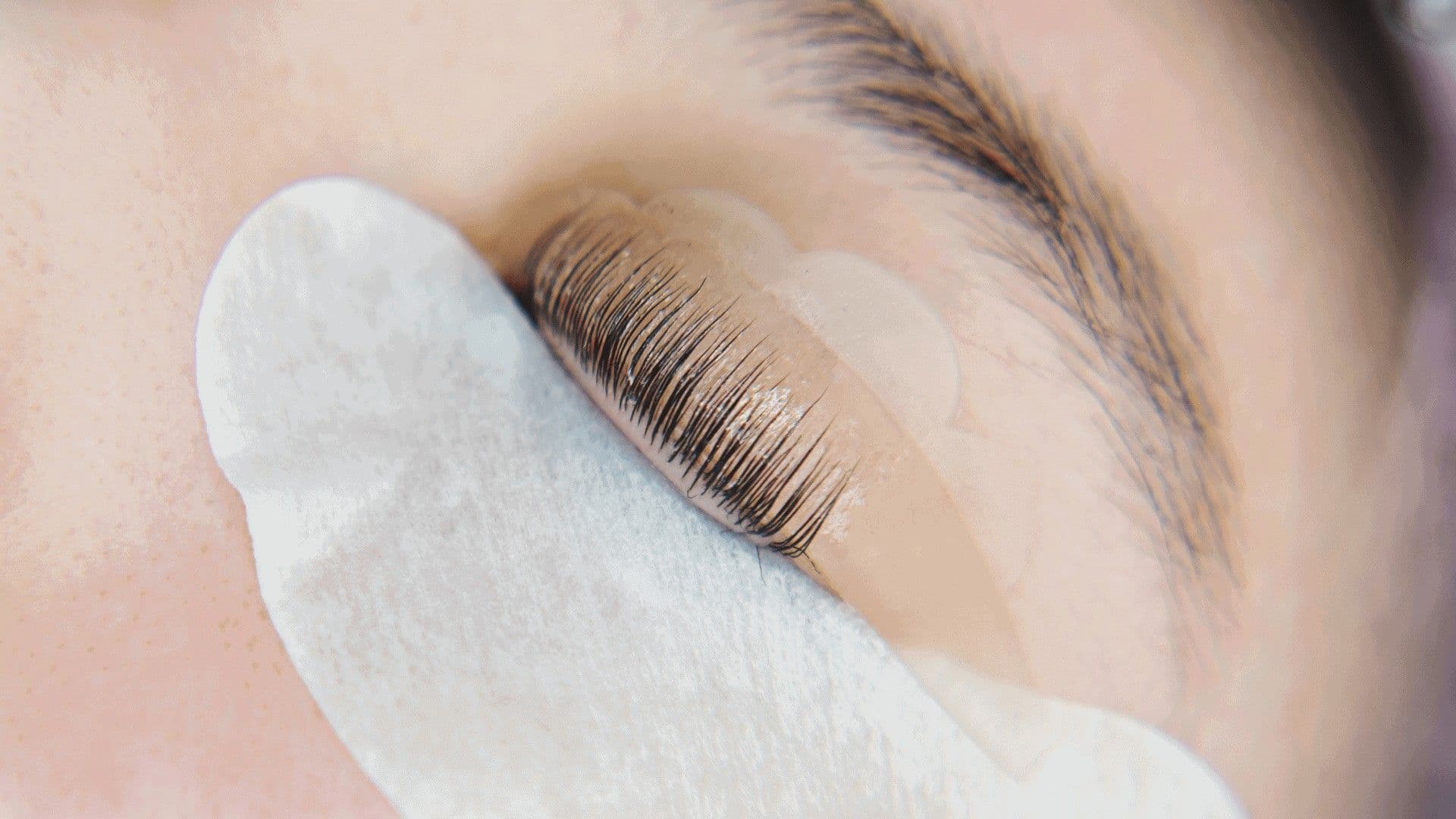 LASH BUNDLE