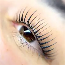 Korean Lash Lift Diploma ( NEW )